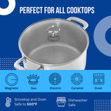 Chantal Induction 21 Steel 8 qt. Stock Pot w/ Glass Lid