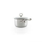 Chantal Induction 21 Steel 2 qt. Saucepan w/ Ceramic Coating and Glass Lid