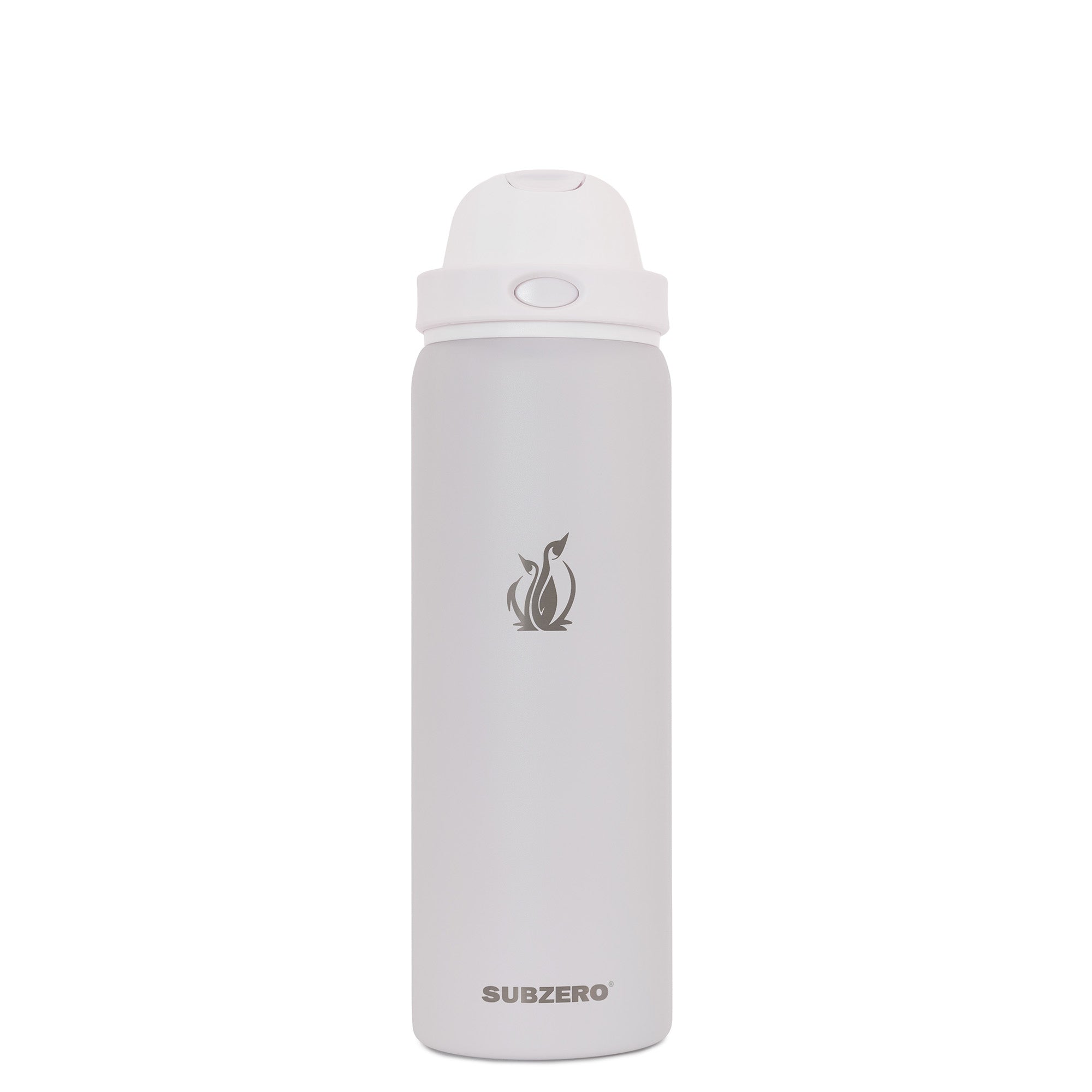 SUBZERO® DUO 32 Ounce Chai Water Bottle with Straw and Flip Up Handle, Copper Lined Stainless Steel, Leak Proof