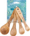 Talisman Designs Laser Etched Honey Bee Beechwood Measuring Spoons, Succulent Collection, Set of 4