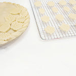 Talisman Designs Plunger Style Pie Crust Cutters, Fall Design, 4-Piece Set