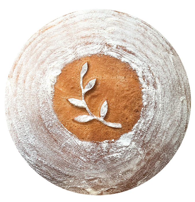 Talisman Designs Decorating Bread Embossers, Set of 2, White