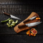 Shun Premier 10-Inch Chef's Knife TDM0707