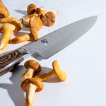 Shun Premier 5-Piece In-Drawer Knife Set