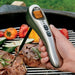 Polder Safe Serve Digital Instant Read Grill Thermometer w/10 Inch Probe, Silver