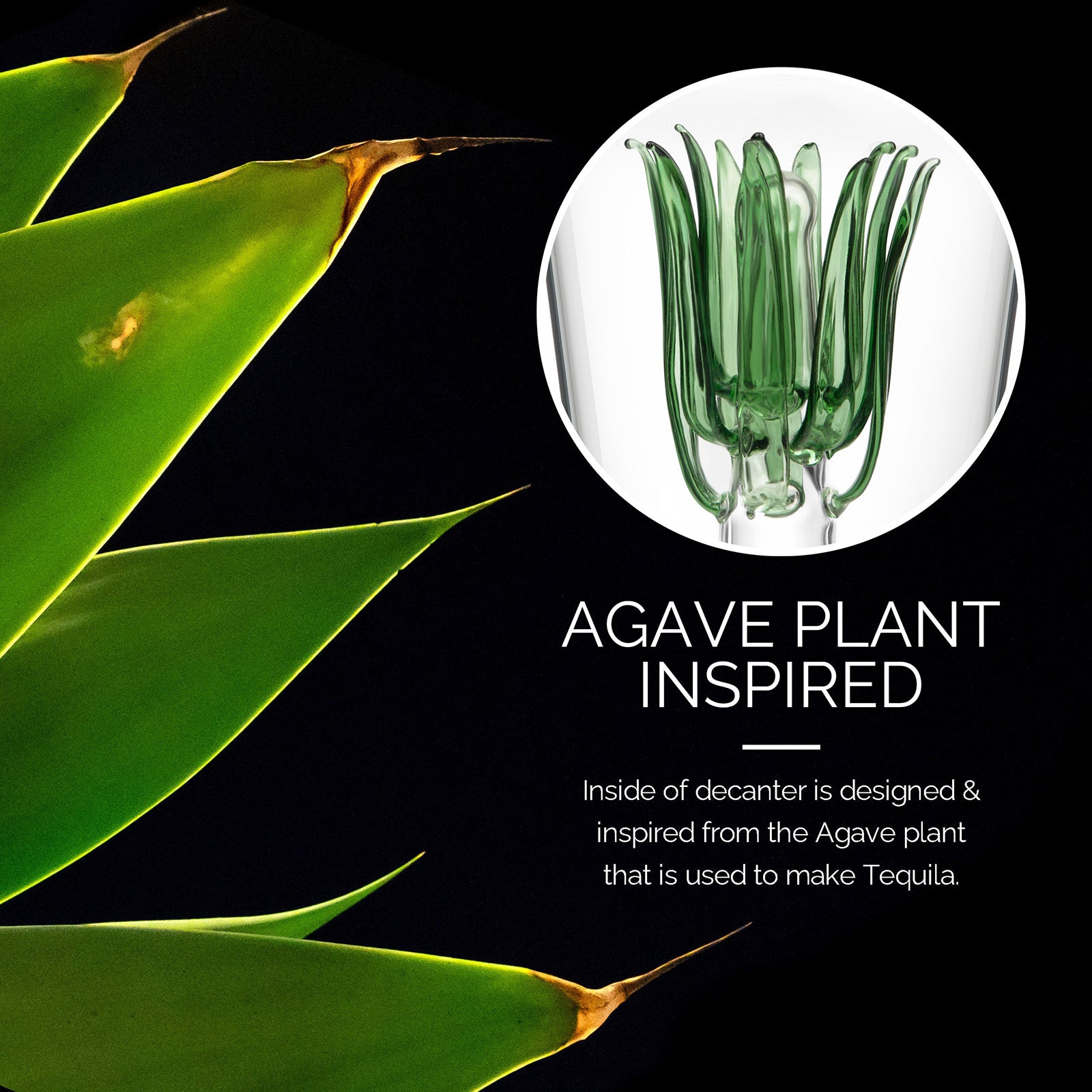 Final Touch Agave Tequila Decanter