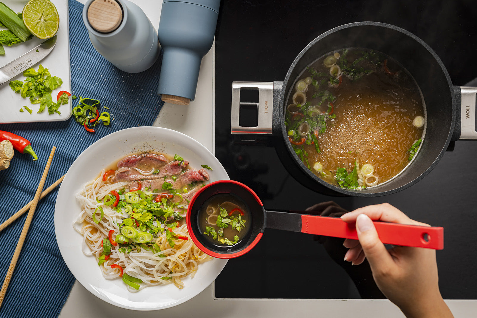Woll Ecologic Pro Nonstick Stock Pot 9.5-Inch, 4.75 Quart