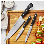 Henckels Classic Precision 3-pc Starter Knife Set