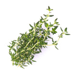 Veritable Lingot Thyme Organic