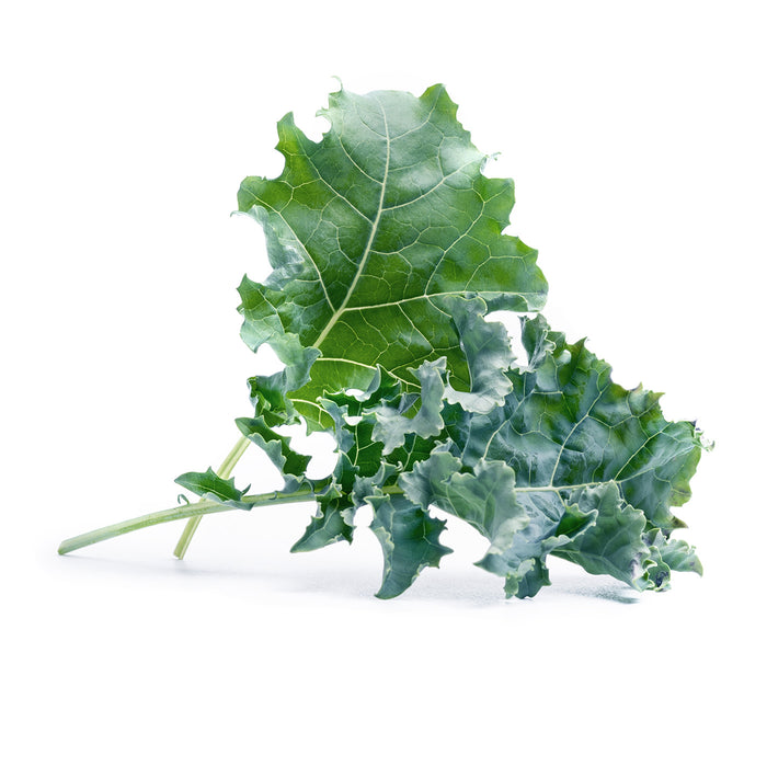 Veritable Lingot Kale Organic