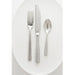 Fortessa Ringo 18/10 Stainless Steel Flatware 5 Piece Place Setting