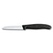 Victorinox Swiss Classic 2.5" Straight Paring Knife