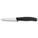 Victorinox Swiss Classic 3.25" Serrated Paring Knife, Black