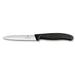 Victorinox Swiss Classic 4" Serrated Paring Knife, Black