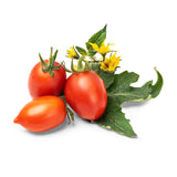 Veritable Lingot Mini Red Tomato