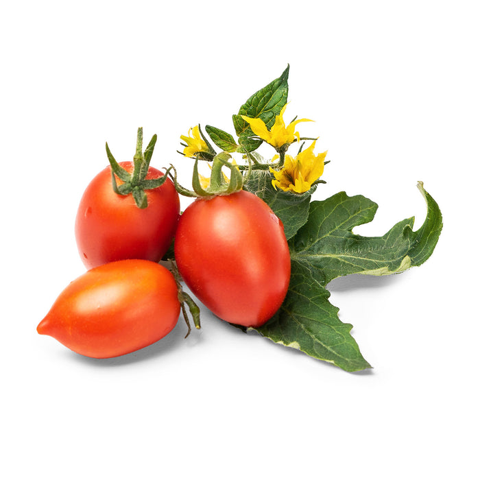 Veritable Lingot Mini Red Tomato