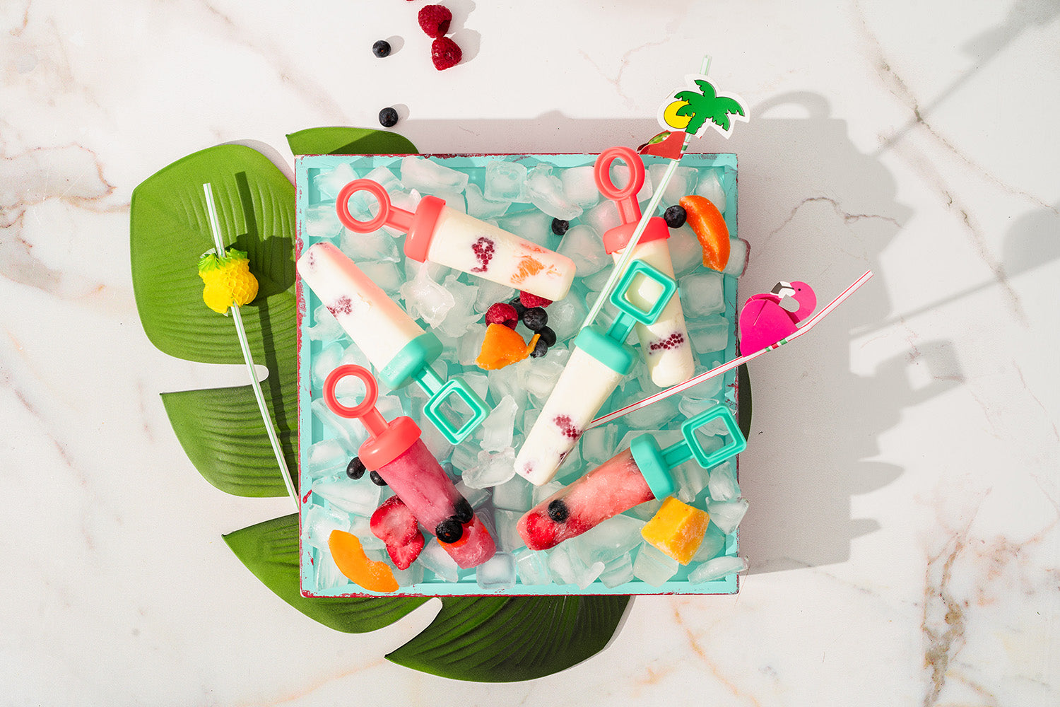 Cuisipro Snap-Fit Circle Pop Mold, 2.9oz/85ml, Set of 6, Coral