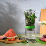 Cuisipro Snap-Fit Circle Pop Mold, 2.9oz/85ml, Set of 6, Coral