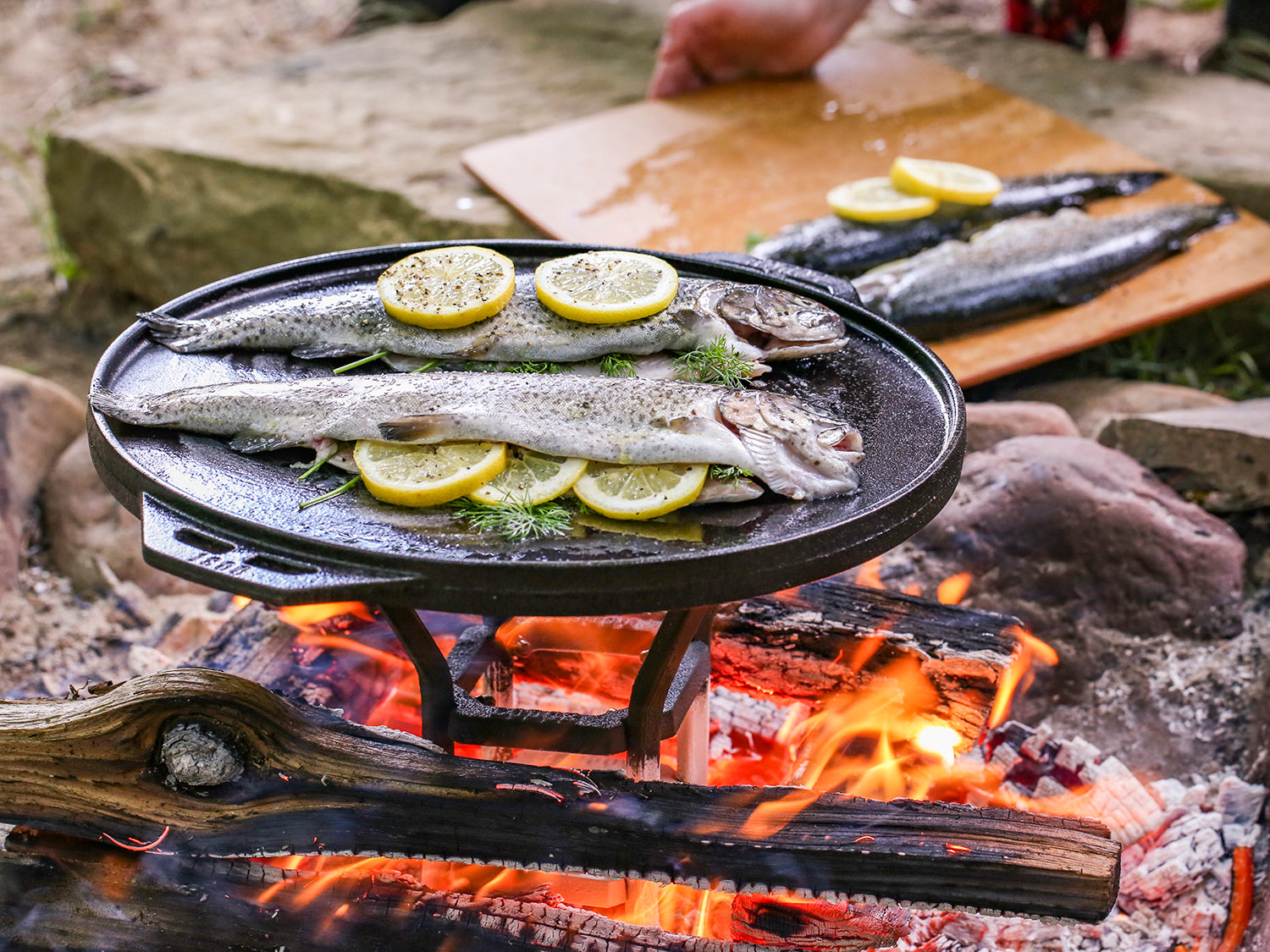 Lodge Cast Iron Cook It All
