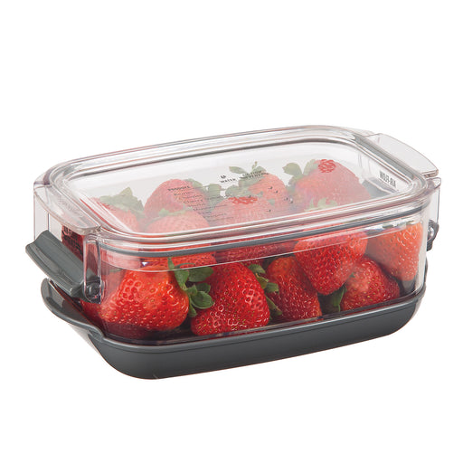 Progressive Prepworks Berry ProKeeper, 1.2-Quart for Strawberries, Blueberries