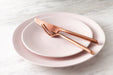 Fortessa Vitraluxe Dinnerware Heirloom Dinner Plate, 10.75-Inch, Set of 4, Blush