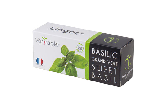 Veritable Lingot Sweet Basil Organic