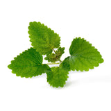 Veritable Lingot Lemon Balm Organic