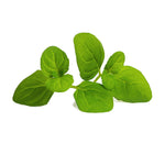 Veritable Lingot Spearmint