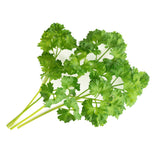 Veritable Lingot Curly Parsley Organic