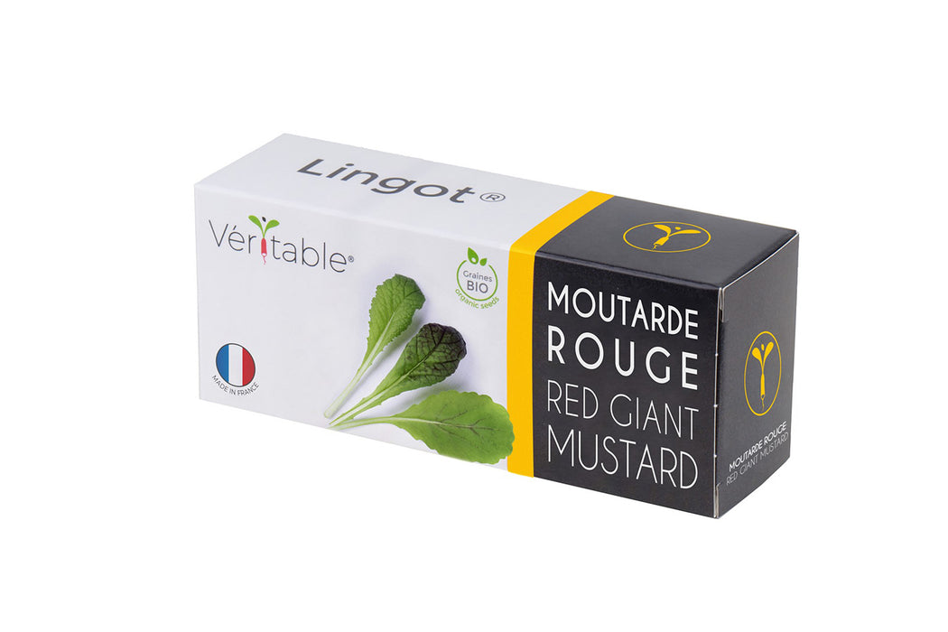 Veritable Lingot Red Giant Mustard Organic