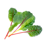 Veritable Lingot Swiss Chard Organic