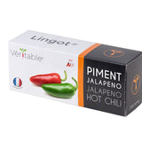 Veritable Lingot Jalapeo Hot Chili