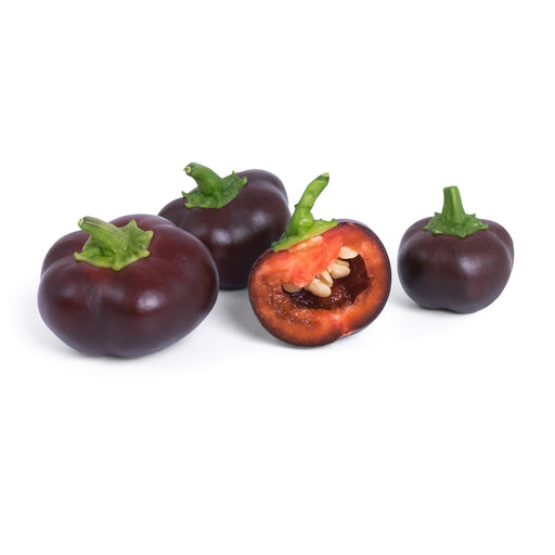 Veritable Lingot Mini Chocolate bell pepper Organic