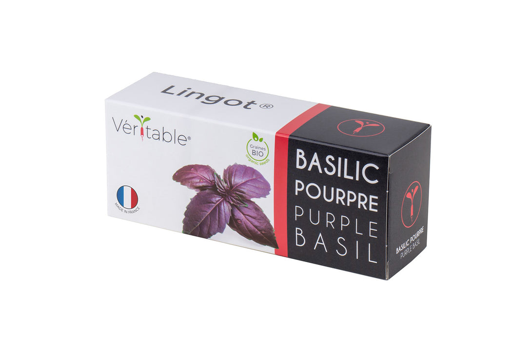 Veritable Lingot Purple Basil Organic