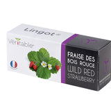 Veritable Lingot Wild Red Strawberry
