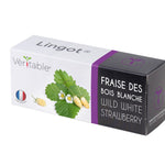 Veritable Lingot White Wild Strawberry