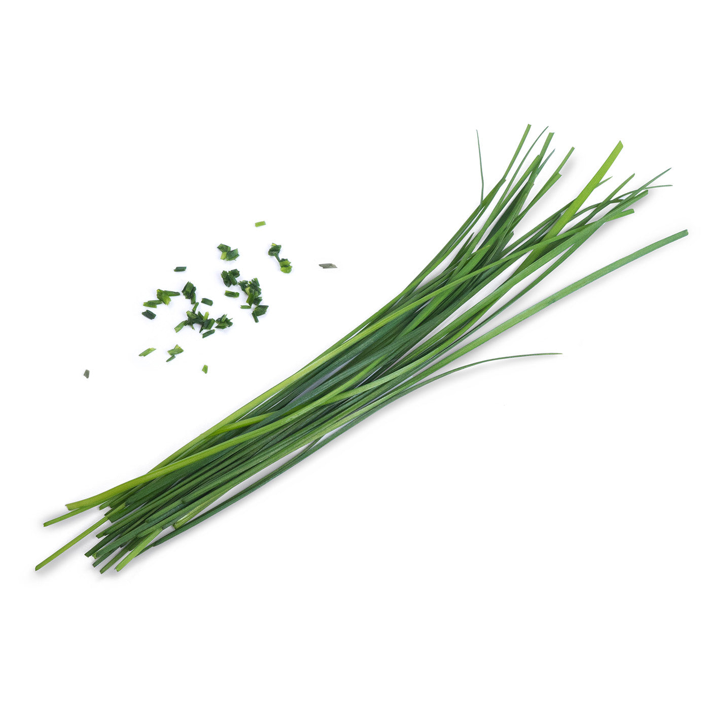 Veritable Lingot Chinese Chives Organic