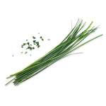 Veritable Lingot Chinese Chives Organic