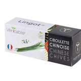 Veritable Lingot Chinese Chives Organic