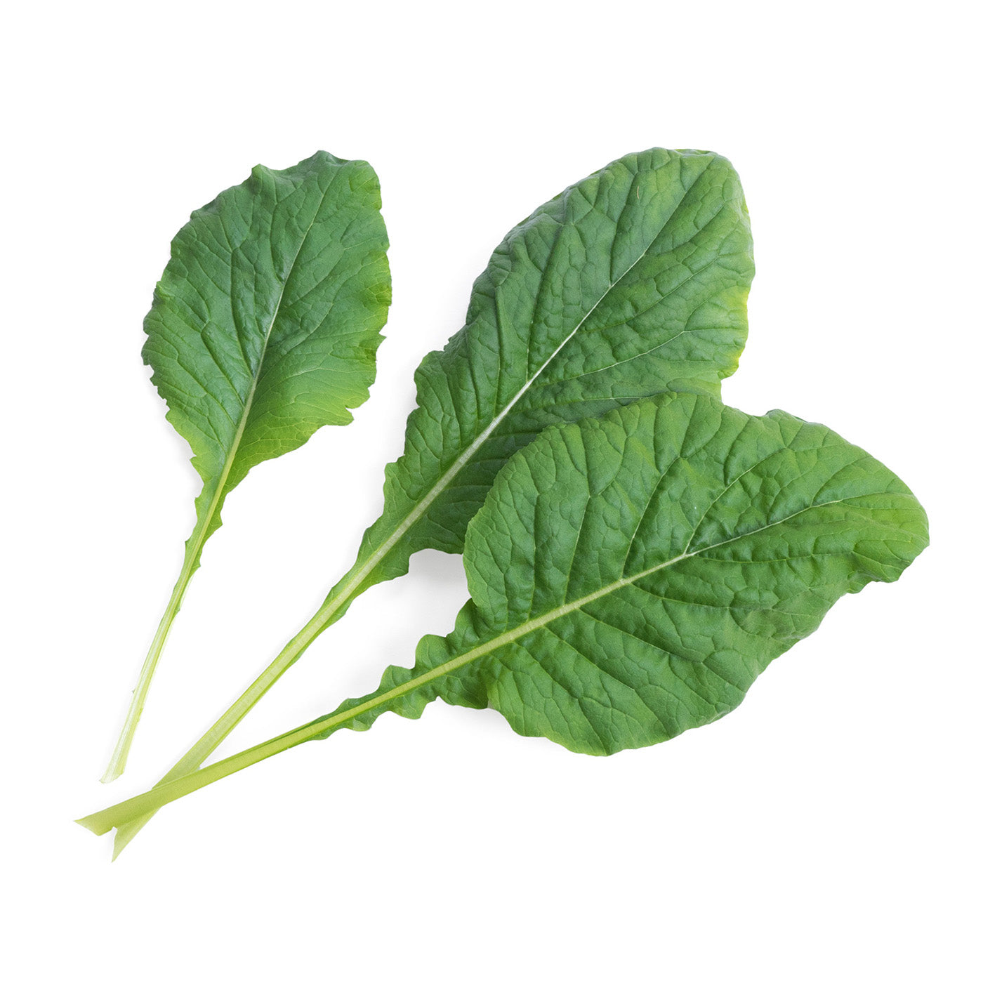 Veritable Lingot Komatsuma