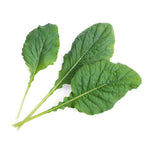 Veritable Lingot Komatsuma