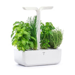 Veritable Classic Indoor Garden, Artic White