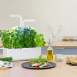 Veritable Classic Indoor Garden, Artic White