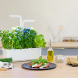 Veritable Classic Indoor Garden, Artic White