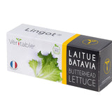 Veritable Lingot Butterhead Lettuce Organic